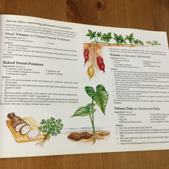 . Cooking with African Flavor Cookbook - Picture 5 of 11